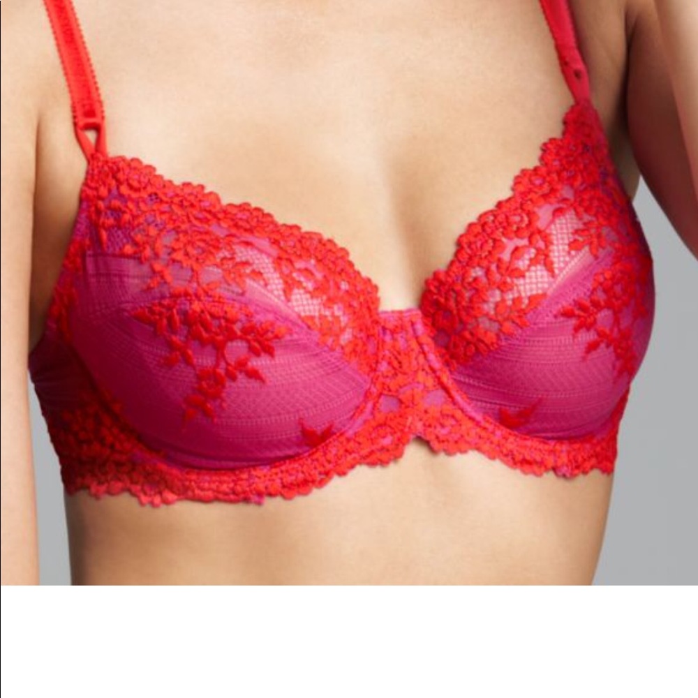 Wacaol embrace lace bra fuschia pink coral